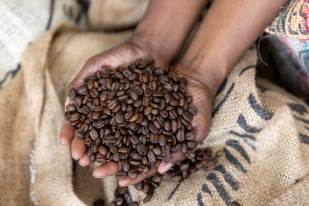 Fotograf Janne haslund - Vendia kaffe 