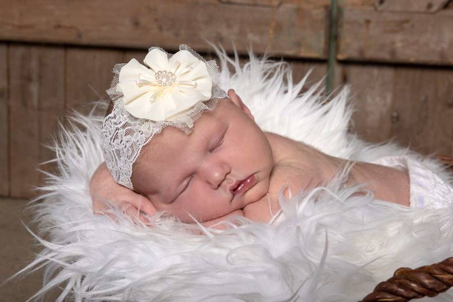 Nyfødt fotos nyfødtbilleder Fotograf Janne Haslund